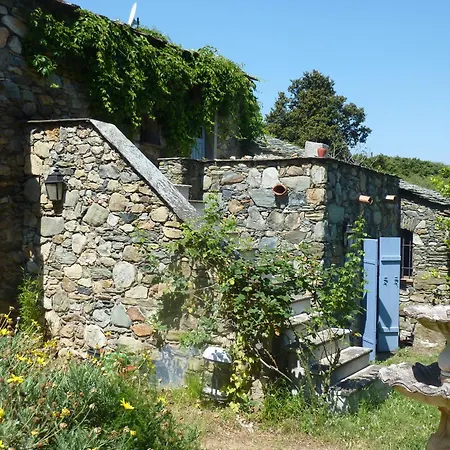 L'Olettese Oletta (Corsica)