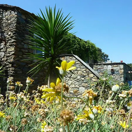 L'olettese Oletta (Corsica)