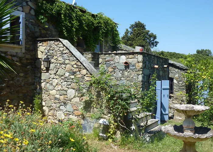 L'olettese Oletta (Corsica)