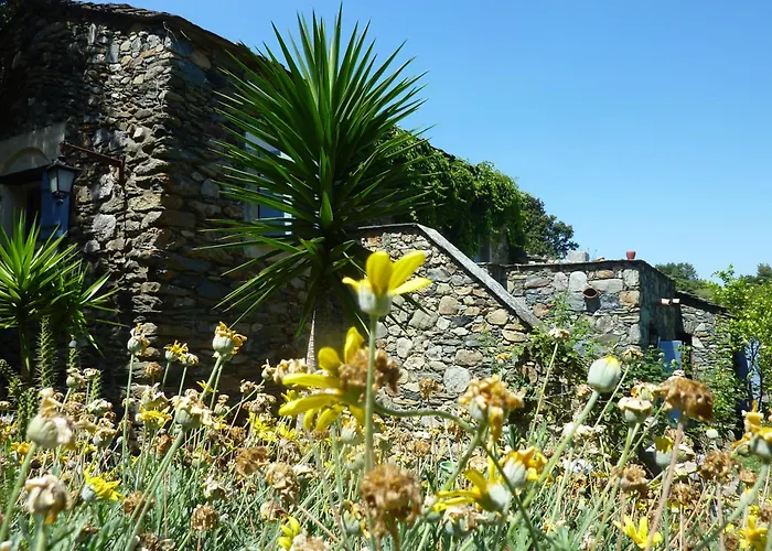 L'olettese Oletta (Corsica)
